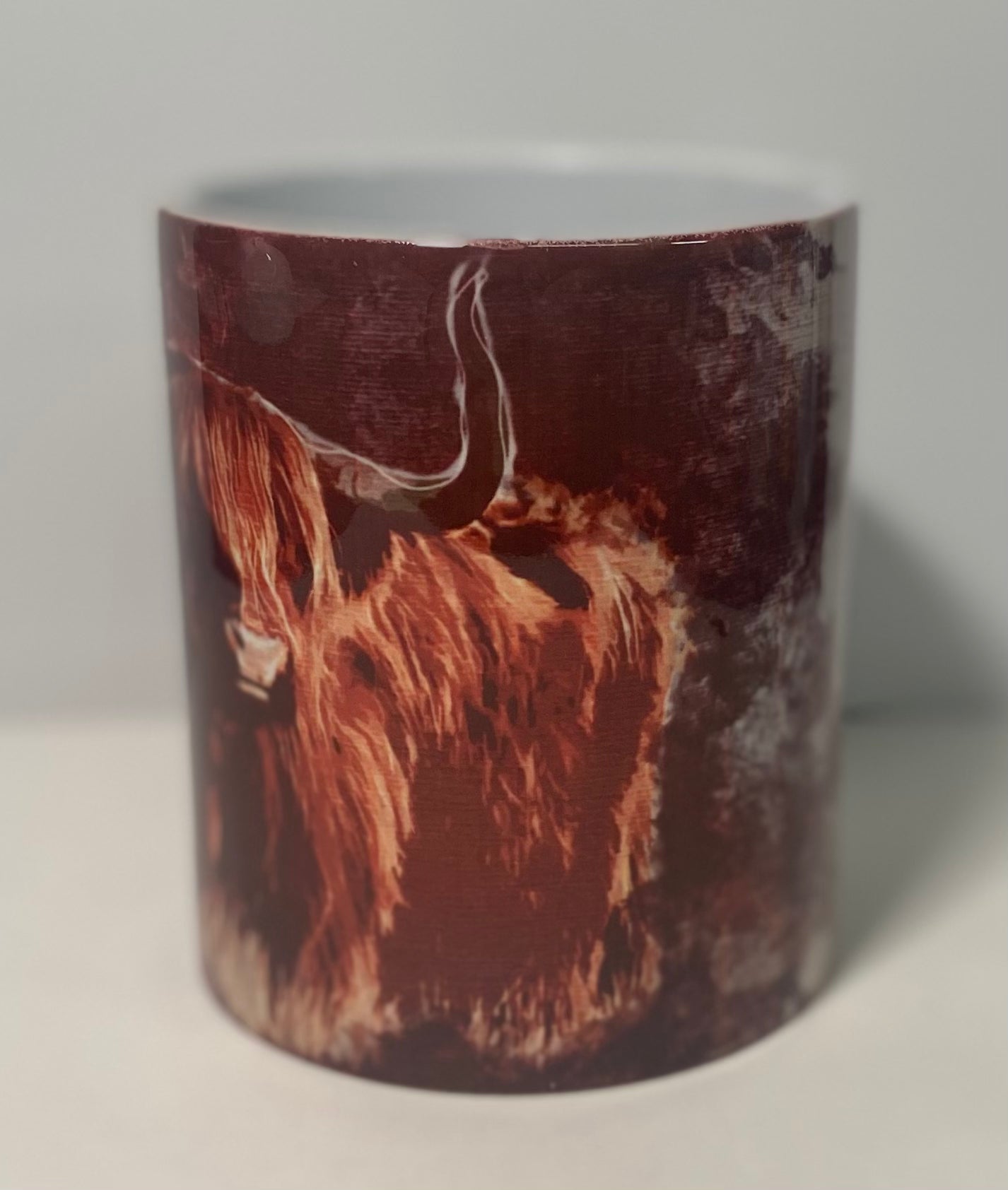 Highland Cow