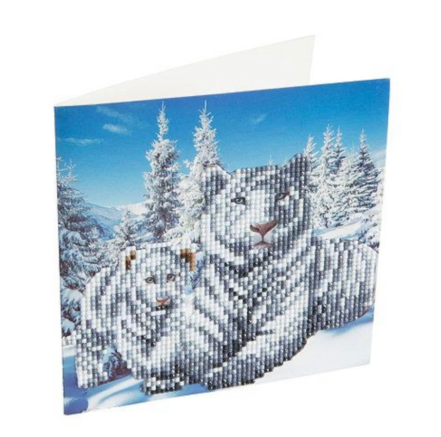 D.I.Y Crystal Card Kit