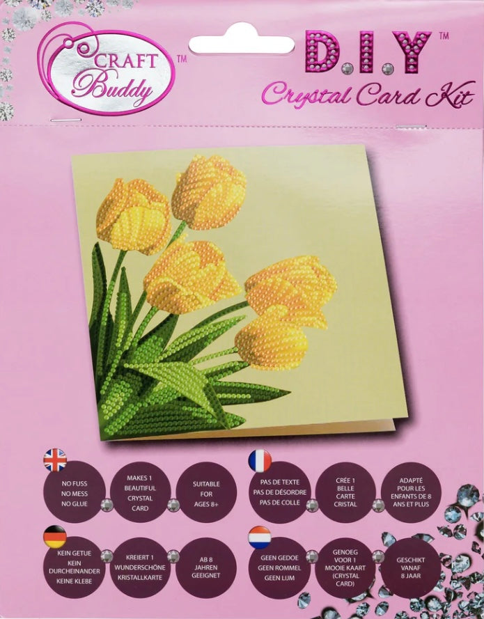 D.I.Y Crystal Card Kit